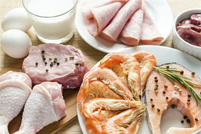 protein diet rules for weight loss