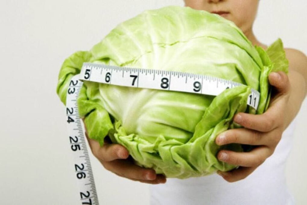 Cabbage diet for weight loss